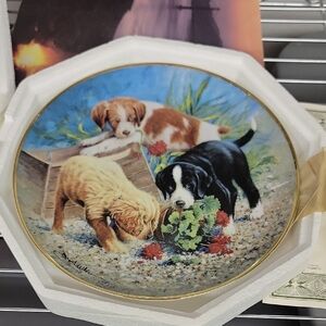 ASPCA Triple Trouble Limited Edition Plate